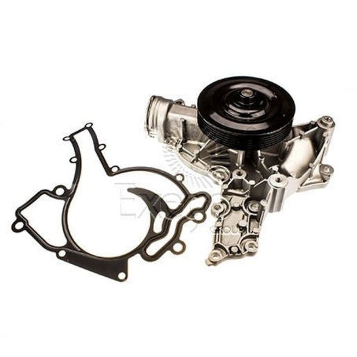 Tru-Flow Water Pump (Saleri Italy) TF8423