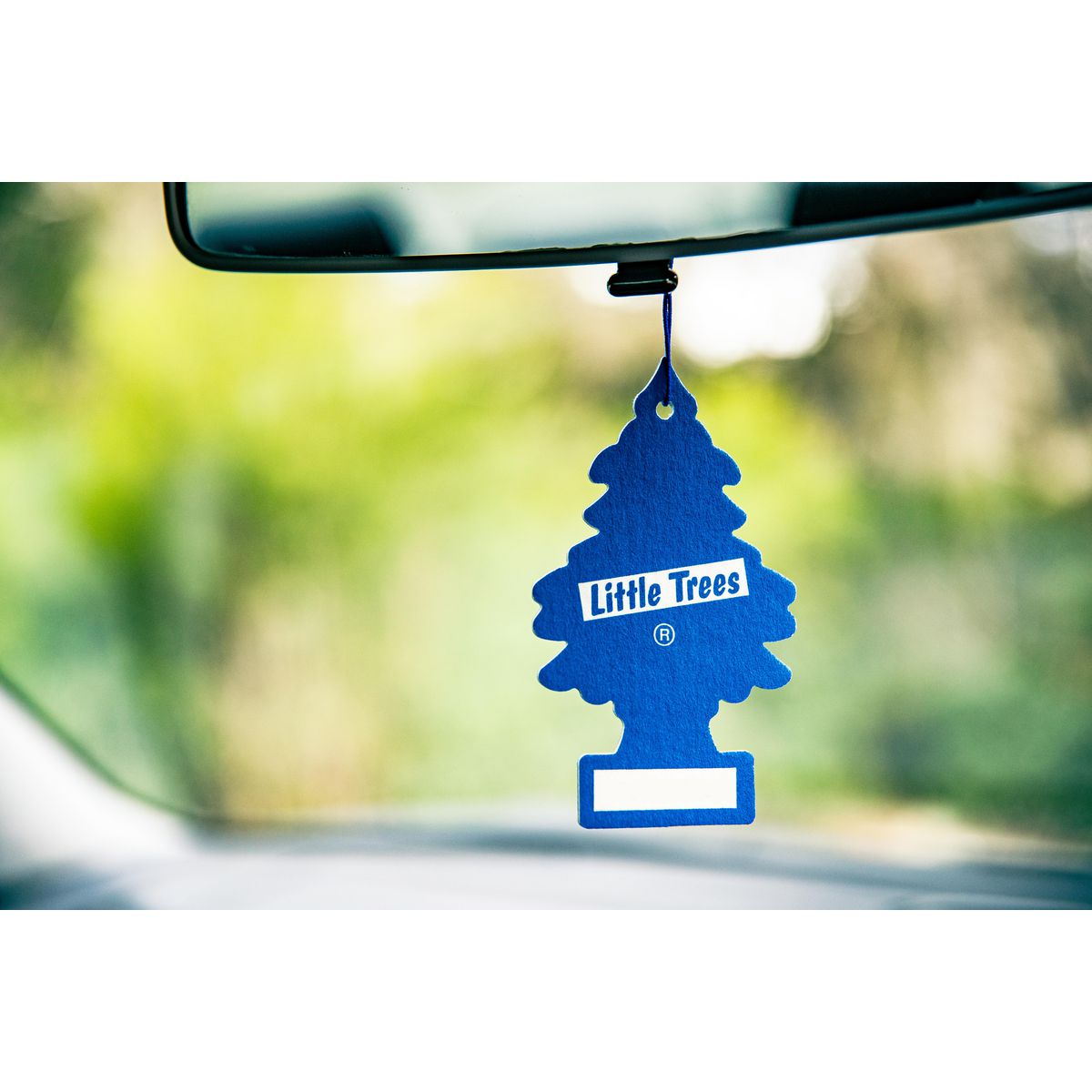 Little Trees Little Trees Car Air Freshener - Watermelon Scent 1Pc U1P-101320