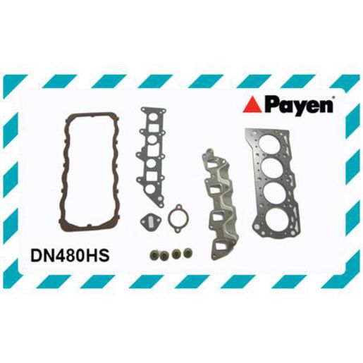 Payen Head Gasket Set DN480HS