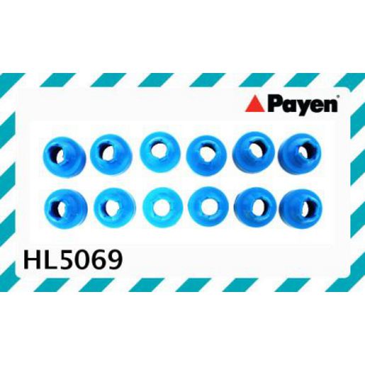 Payen Valve Cover Bolt Seal/Washer HL5069