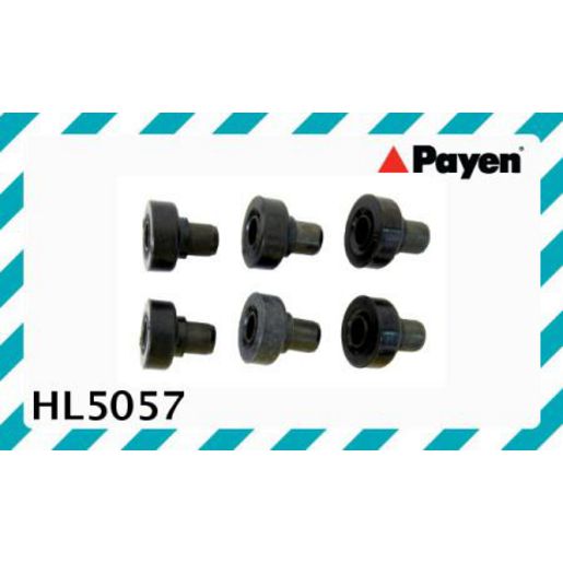 Payen Valve Cover Bolt Seal/Washer HL5057