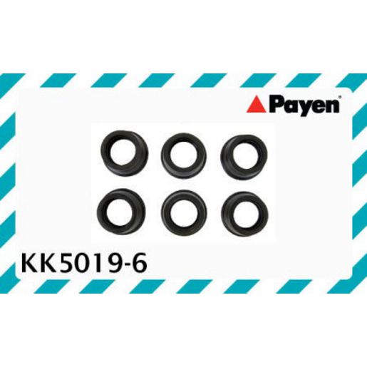 Payen Seal Spark Plug Tube KK5019-6