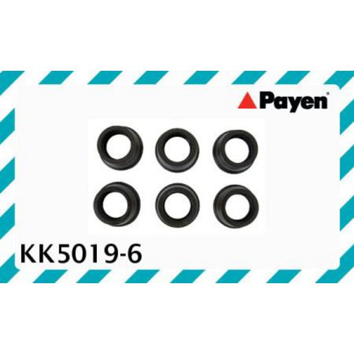 Payen Seal Spark Plug Tube KK5019-6