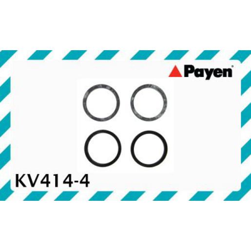 Payen Spark Plug Tube Seal KV414-4