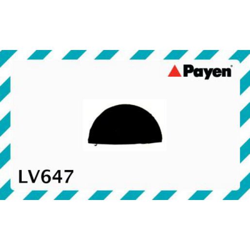 Payen Camshaft Seal LV647