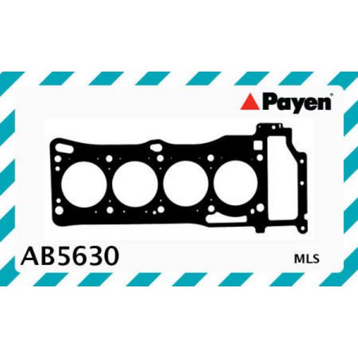 Payen Cylinder Head Gasket AB5630
