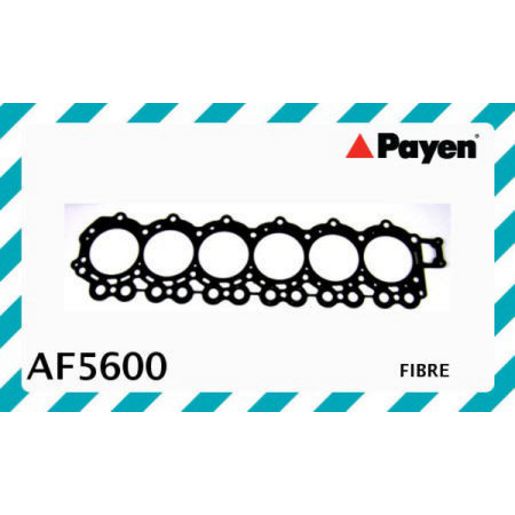 Payen Cylinder Head Gasket AF5600