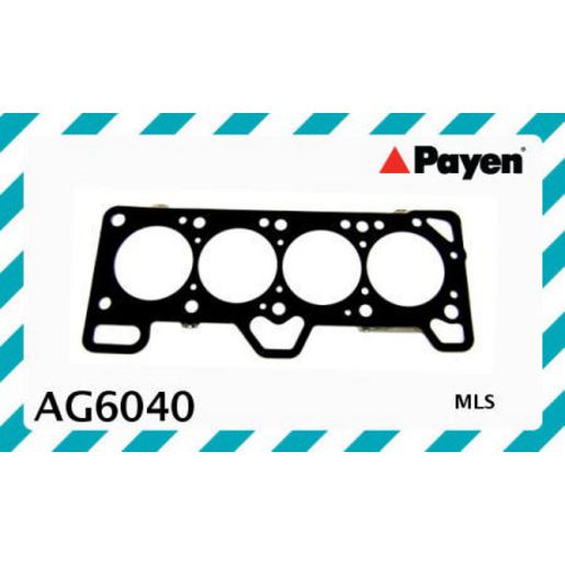 Payen Cylinder Head Gasket AG6040
