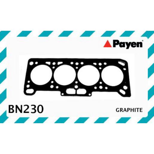 Payen Cylinder Head Gasket BN230