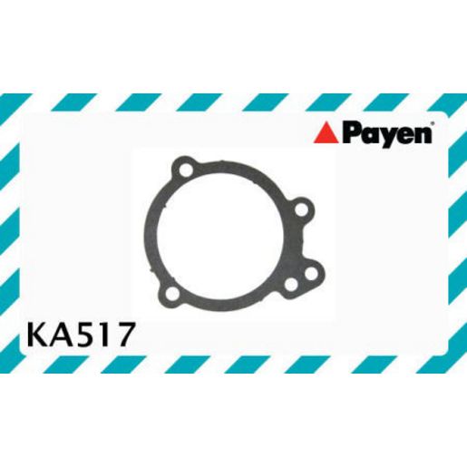Permaseal Water Pump Gasket KA517