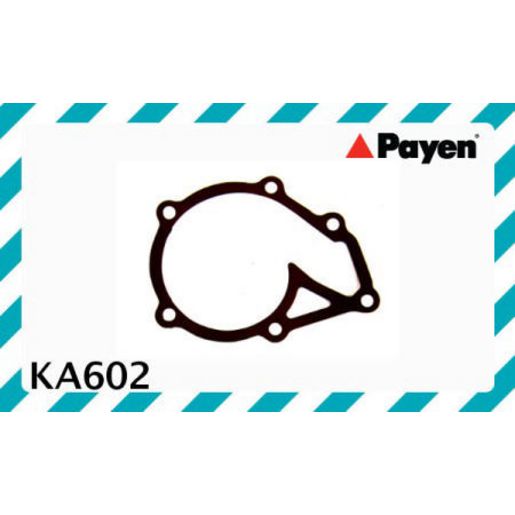 Payen Water Pump Gasket KA602