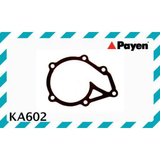 Payen Water Pump Gasket KA602