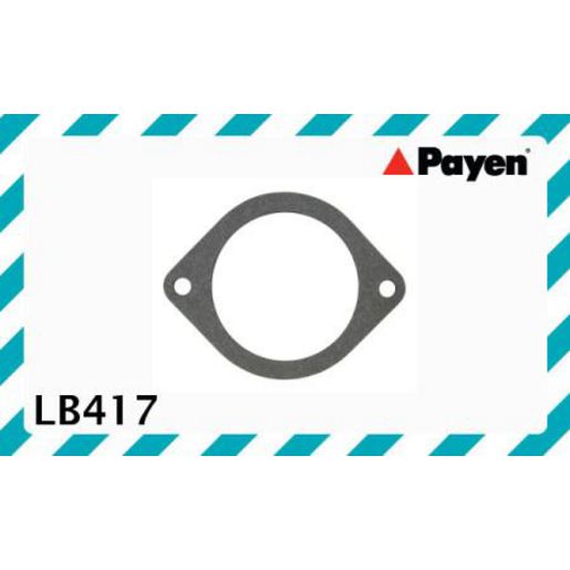 Payen Water Outlet Gasket LB417