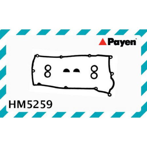Payen Valve Cover Gasket HM5259