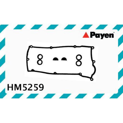 Payen Valve Cover Gasket HM5259