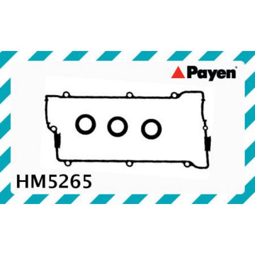 Payen Valve Cover Gasket HM5265