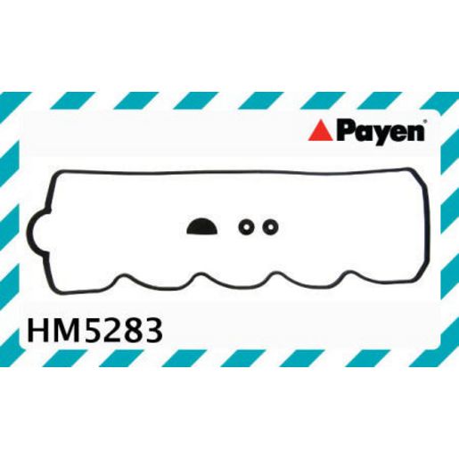 Payen Valve Cover Gasket HM5283