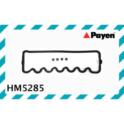 Payen Valve Cover Gasket HM5285