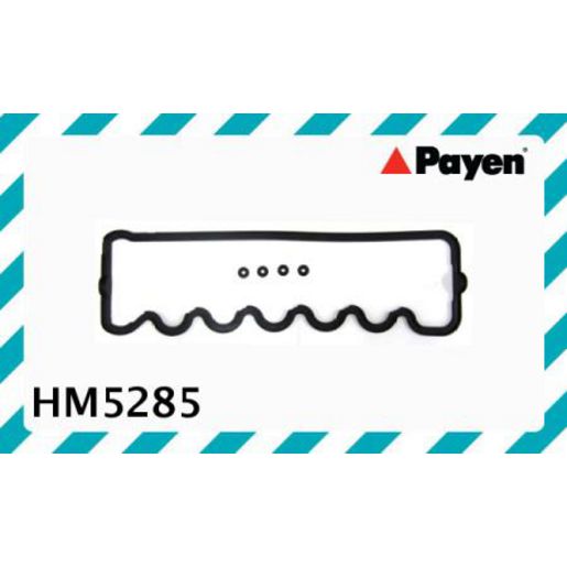 Payen Valve Cover Gasket HM5285