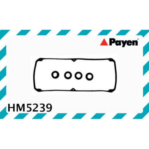 Payen Valve Cover Gasket HM5239