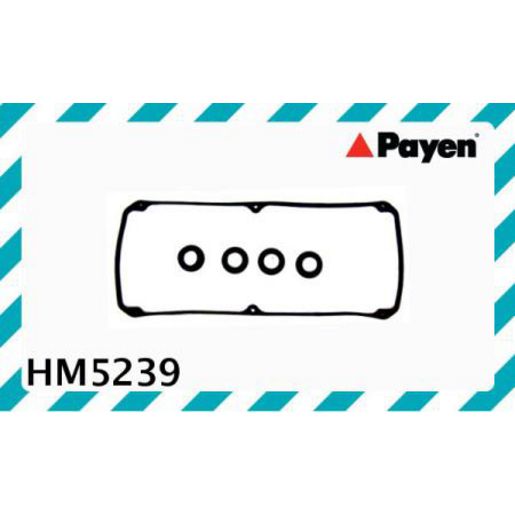 Payen Valve Cover Gasket HM5239