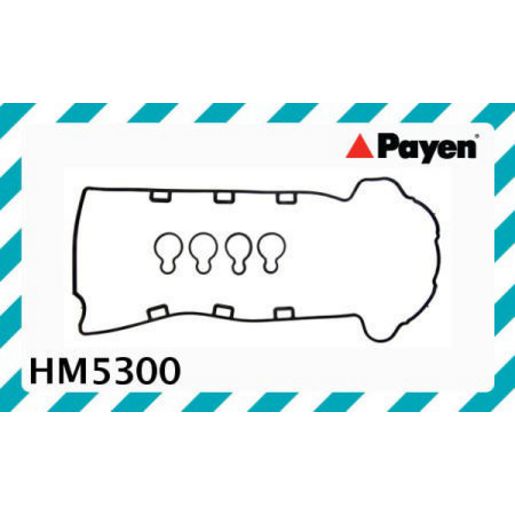 Payen Valve Cover Gasket HM5300