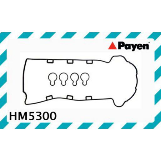 Payen Valve Cover Gasket HM5300