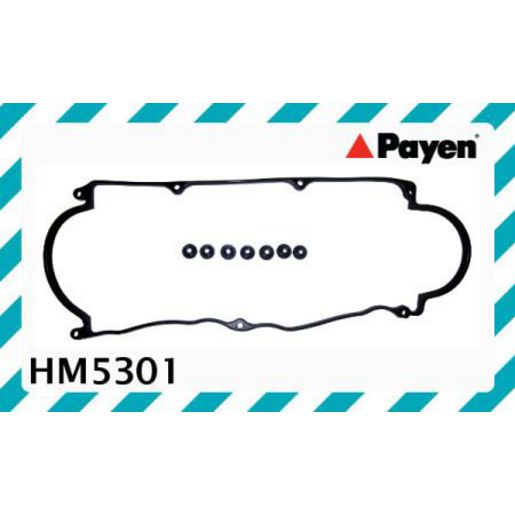 Payen Valve Cover Gasket HM5301