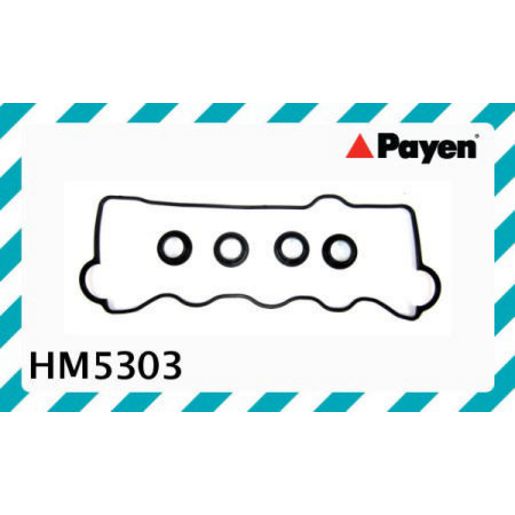 Payen Valve Cover Gasket HM5303