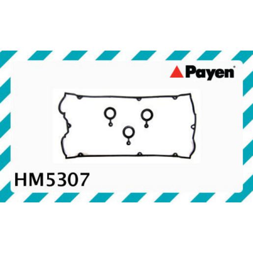 Payen Valve Cover Gasket HM5307