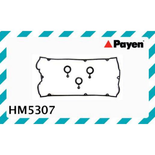Payen Valve Cover Gasket HM5307