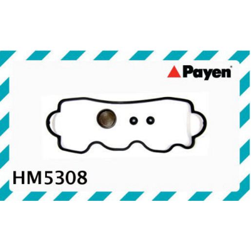 Payen Rocker Cover Gasket HM5308