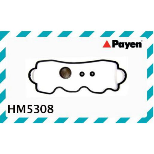 Payen Rocker Cover Gasket HM5308