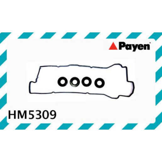Payen Valve Cover Gasket HM5309