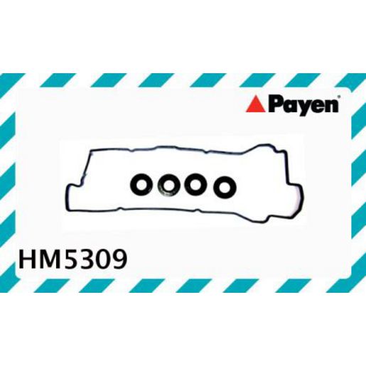 Payen Valve Cover Gasket HM5309