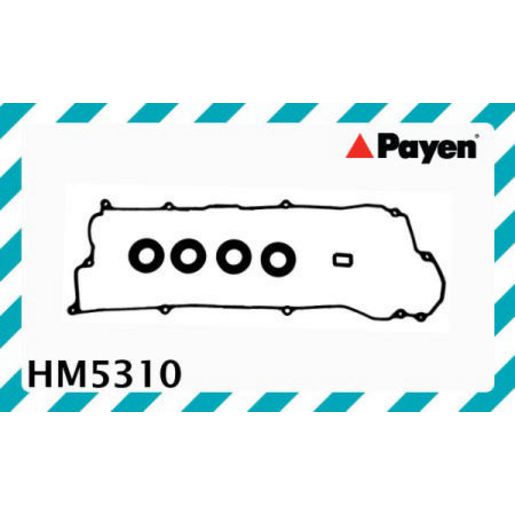 Payen Valve Cover Gasket HM5310