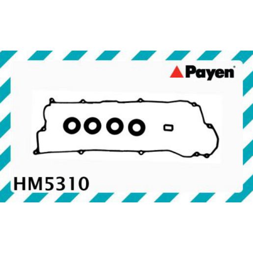 Payen Valve Cover Gasket HM5310