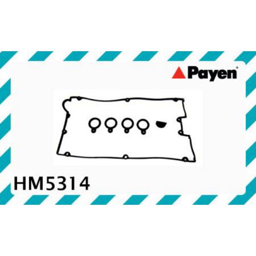 Payen Valve Cover Gasket HM5314
