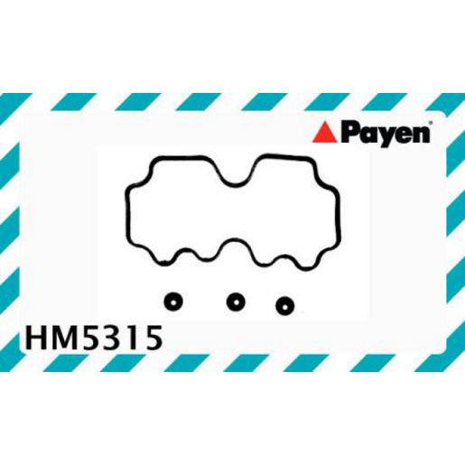 Payen Rocker Cover Gasket HM5315