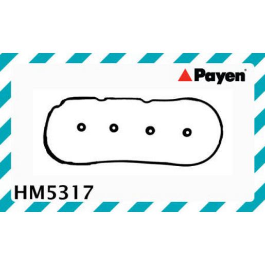 Payen Valve Cover Gasket HM5317