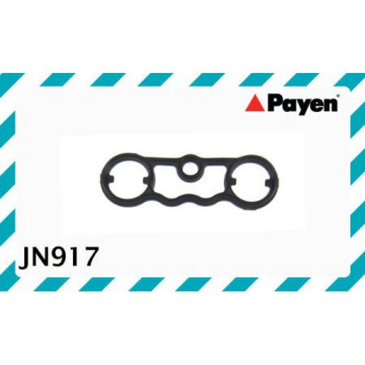 Payen Valve Cover Gasket JN917