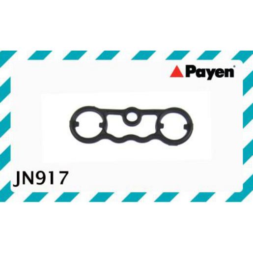 Payen Valve Cover Gasket JN917