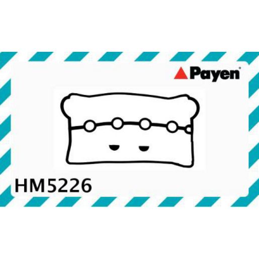 Payen Rocker Cover Gasket HM5226