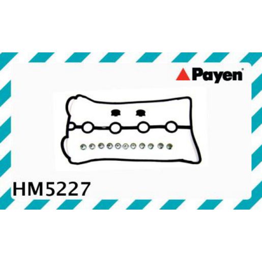 Payen Rocker Cover Gasket HM5227