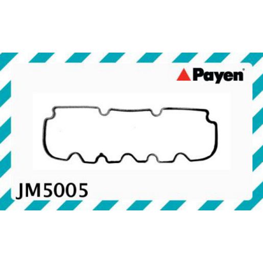 Payen Valve Cover Gasket JM5005