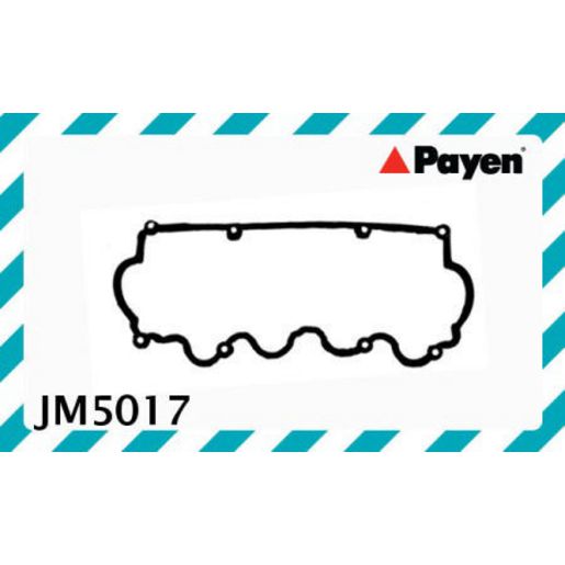 Payen Valve Cover Gasket JM5017