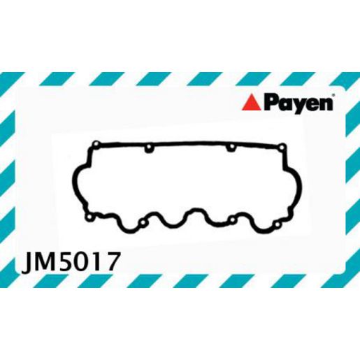 Payen Valve Cover Gasket JM5017
