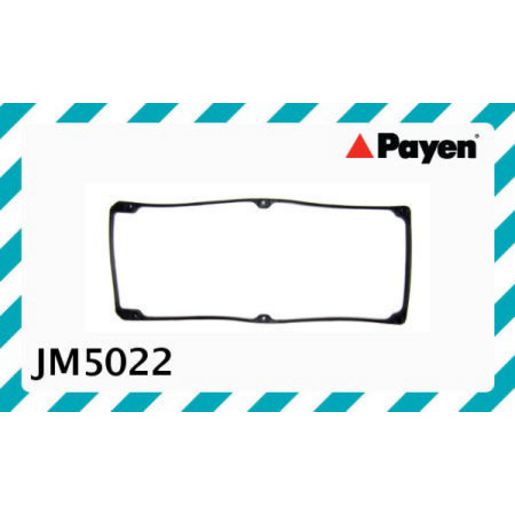 Payen Valve Cover Gasket JM5022