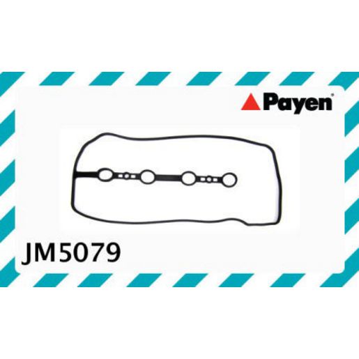 Payen Valve Cover Gasket JM5079