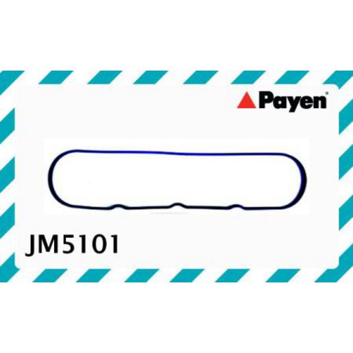 Payen Valve Cover Gasket JM5101